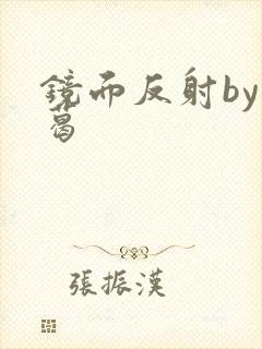 镜面反射by九葛