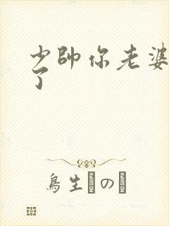 少帅你老婆又跑了