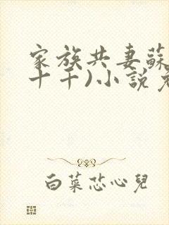 家族共妻苏苏(十千)小说免费