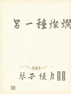 另一种灿烂生活