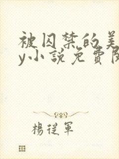 被囚禁的美人by小说免费阅读