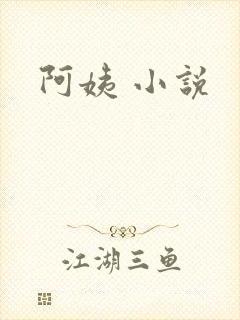 阿姨 小说