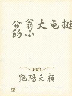 公翁大龟挺进我的小