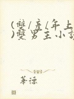 (双/产/年上)双男主小说