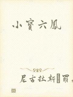 小宝六凤