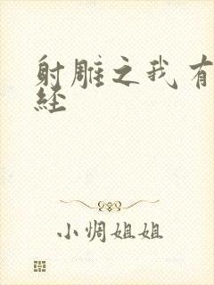 射雕之我有太玄经