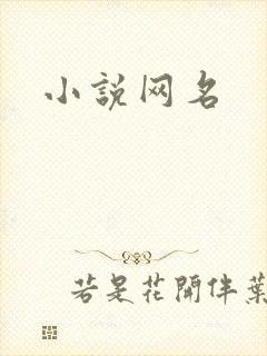 小说网名