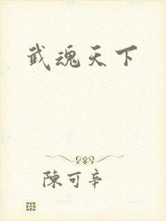 武魂天下