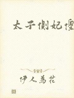 太子侧妃傻乎乎