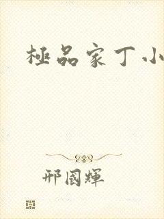 极品家丁小说