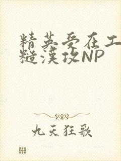精英受在工地被糙汉攻NP