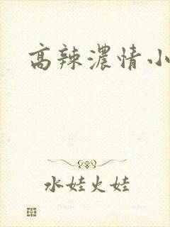 高辣浓情小说