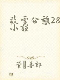 苏雪公憩28篇小说
