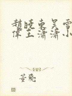 赵晓东吴雪晴郑伟王潇潇小说