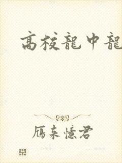 高校龙中龙