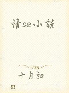 情se小说