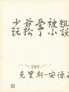 少爷受被粗汉H玩松了小说