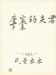 唐家的夫君们帘下衾