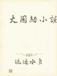 大团结小说阅读