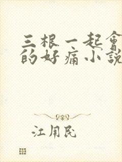 三根一起会坏掉的好痛小说