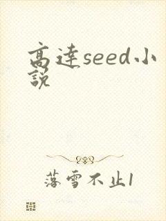 高达seed小说