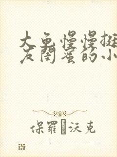 大龟慢慢挺进女友闺蜜的小说