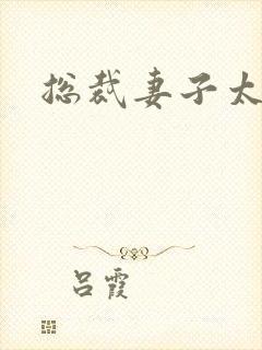 总裁妻子太诱人