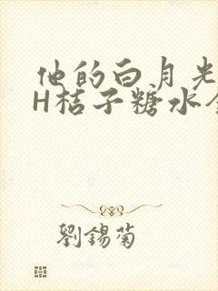 他的白月光HVH桔子糖水全文