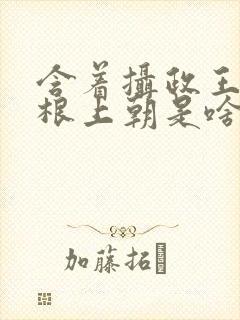 含着摄政王的紫根上朝是啥小说