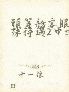 头等舱客服的特殊待遇2中字