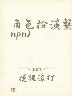角色扮演系统(npn)