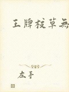 王牌校草无限爱