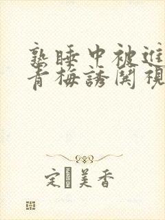 熟睡中被进了H青梅诱哄视频