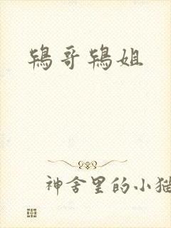 鸨哥鸨姐