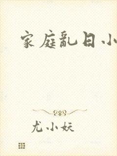 家庭乱日小说