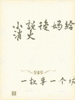 小说后妈给我消消火