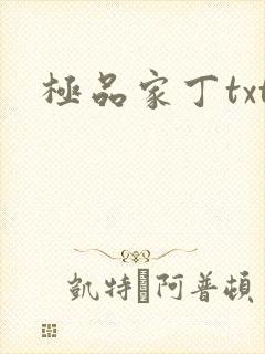 极品家丁txt