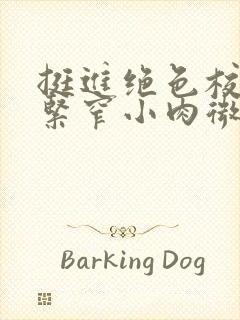 挺进绝色校花的紧窄小肉微博