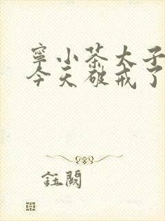 宁小茶太子殿下今天破戒了吗免费阅读