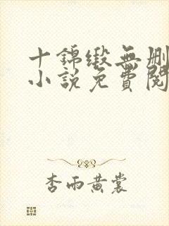 十锦缎无删原著小说免费阅读