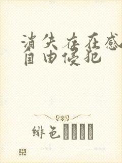 消失存在感消失自由侵犯