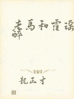 老马和霍瑶瑶喝醉