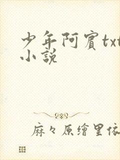 少年阿宾txt小说
