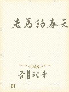 老马的春天敏静