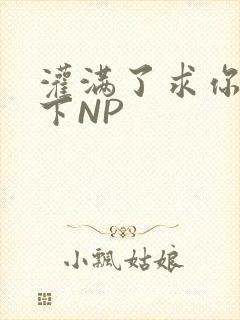 灌满了求你们停下NP