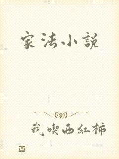 家法小说