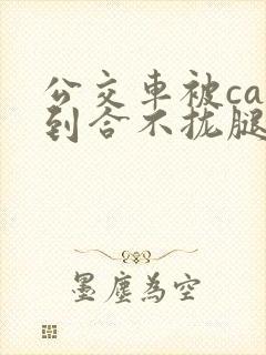 公交车被cao到合不拢腿视频