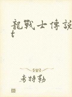 龙战士传说txt