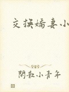 交换娇妻小说