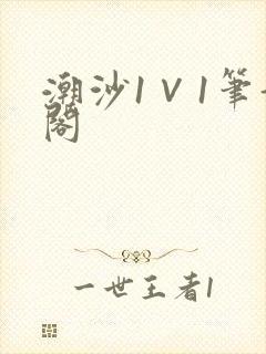潮沙1∨1笔趣阁